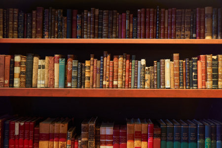 Porto, Portugal - 12.25.2022: An image of a bookcase filled with publications in a libraryのeditorial素材
