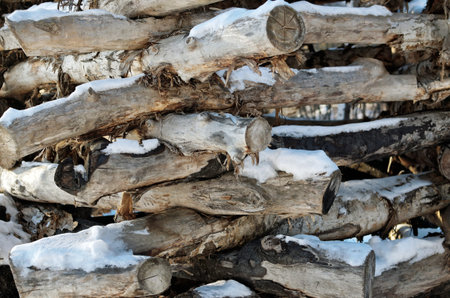 Storing logs outdoors in the winter