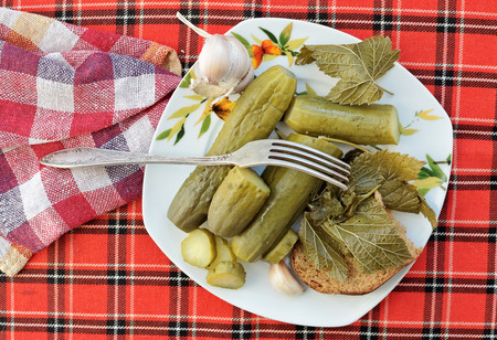Pickled cucumbers with garlic and curly with a fork on a plateの写真素材