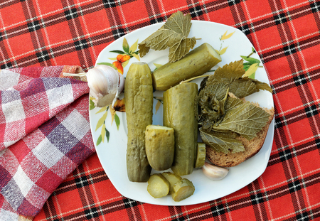 Pickled cucumbers with garlic and curly leaves of currant on a plateの写真素材