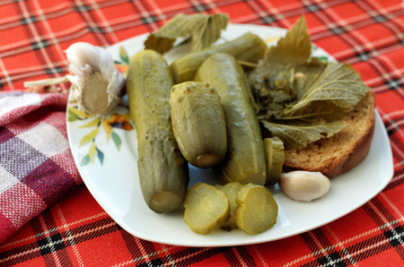 Pickled cucumbers with garlic and curly leaves of currant on a plateの写真素材