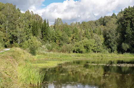 A small lake on the edge of a forest on a Sunny dayの写真素材