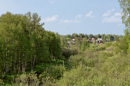 The holiday village among woods on a summer dayの写真素材