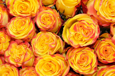 Orange wedding bouquet closeupの写真素材