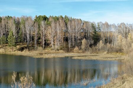 The edge of a small lake with ducks Sunny autumn dayの写真素材