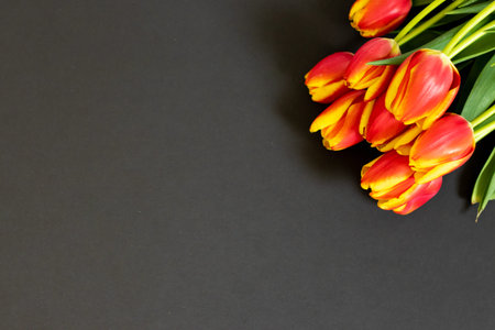 Red tulips on the black background. Flat lay, top view. Woman day background.