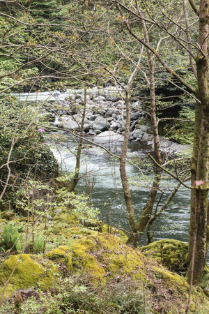 Chakvistskali river in Adjara, Georgia