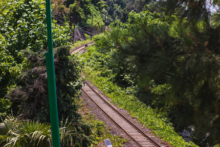 Railway tracks in the countryside, Georgiaの写真素材