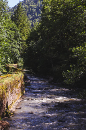 Kura River in Borjomi, Georgia.