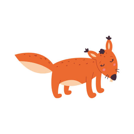 Red squirrel. Vector illustration isolated on white background. Flat style.のイラスト素材