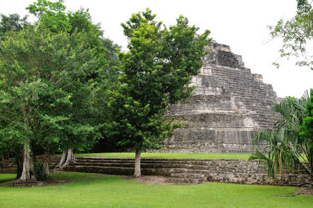 pyramid in Costa Maya Mexicoの写真素材