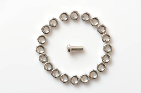 Screw and nuts organized on white backgroundの写真素材