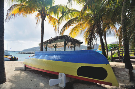 Colourful boat on beach laying in palm shades