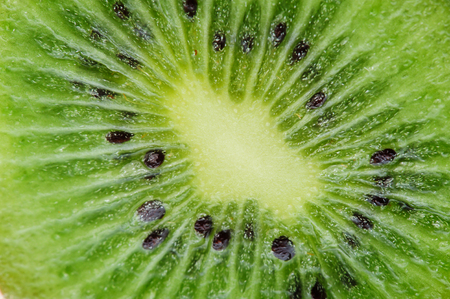 kiwi close up slice macro seeds vividの写真素材