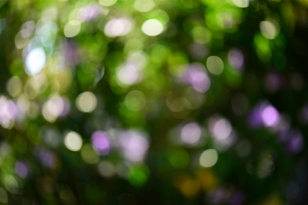 blurred round bokeh  of sparkle colourful nature circlesの写真素材