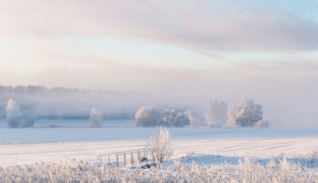 Winter landscape of misty frosty morningの写真素材
