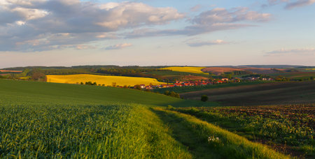 Country road in meadow in the evening and small town