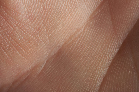 lines on texture of hand palm skin close up