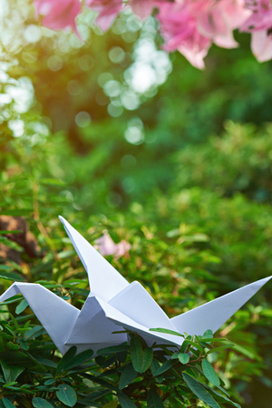 white paper origami crane on green grass and blurred garden backgroundの写真素材