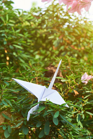 one white paper crane in sun gold raysの写真素材