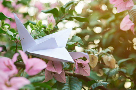 close up of white paper handmade craft craneの写真素材