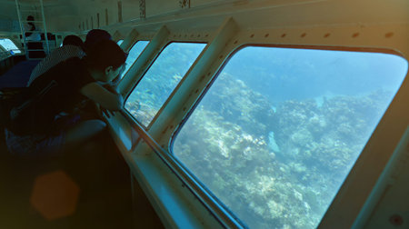 people in boat with glass bottom watching corals and fish