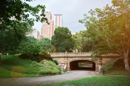 central park bridge in new york in sunset lightの写真素材