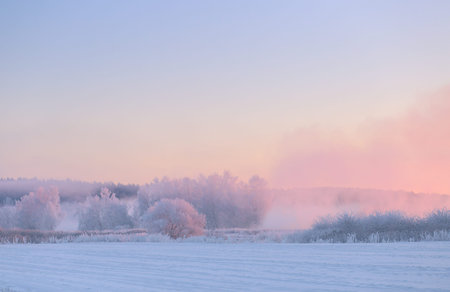 Color christmas sky above snowy field. Beautiful xmas morning. Foggy winter landscape.