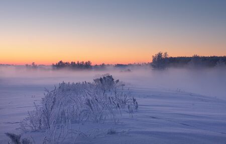 Misty winter dawn. Colorful Christmas background. Frosty winter landscape.の写真素材