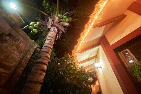 Christmas decorations in tropics of house roofの写真素材