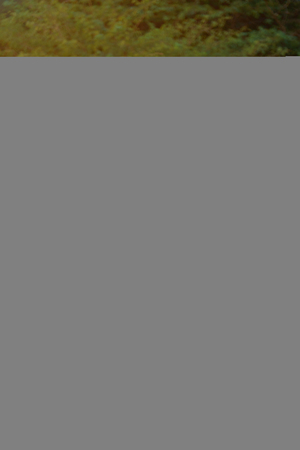 Man with labrador dog on beach sand huggingの写真素材