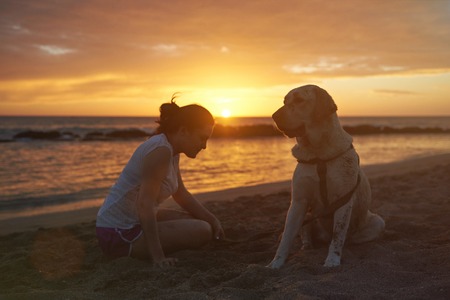 silhouette of labrador dog with woman on sunset light sitting on beachの写真素材