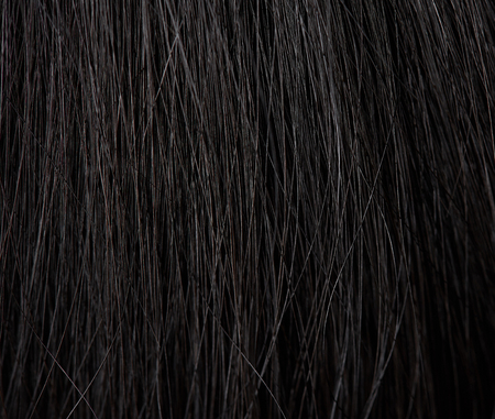 Macro of human healthy hair. Straight dark woman hairの写真素材