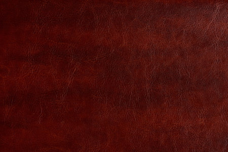 Pattern of brown plan leather background. Vintage brown skin