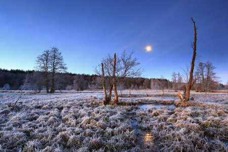 Full moon over frosty meadow in spring. Twilight in meadow. Rising moon illuminate frosty grass....