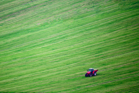 Red tractor on green farm field. Tractor work on field. Good agricultural background. Gree space for text on green field background.の写真素材