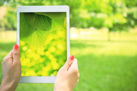 Summer background. White tablet in hand on green nature background. Tablet with vivid green picture on screen in girl hand.の写真素材
