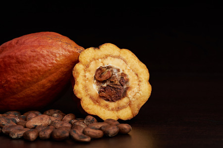 Raw cacao fruit open with seeds close-up on dark wooden backgroundの写真素材
