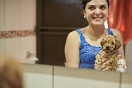 Fluffy wet poodle puppy. Smiling woman washing puppy dogの写真素材