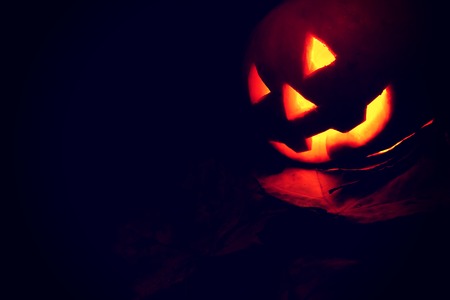 Jack-o'-lantern pumpkin looking out corner on black background. Halloween background with traditional pumpkin and copy space.の写真素材