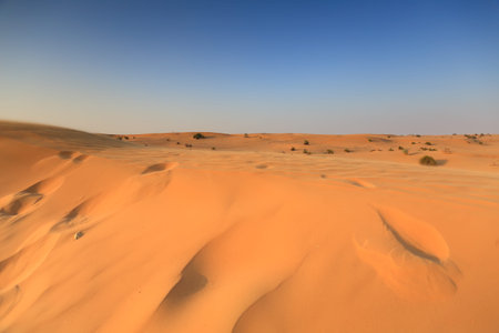 Desert in Dubai in the evening. Yellow sand on blue sky background.