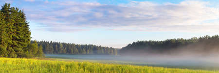 Panoramic scenic landscape of summer meadow in the morning. Sunny summer morning.の写真素材