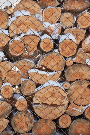 Pile of timber wood laying covered with snow background