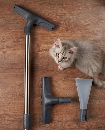 Vacuum cleaner tools for cleaning after pet living in houseの写真素材