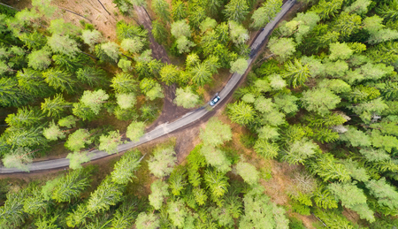 Road throught forest. Green forest aerial drone view.の写真素材