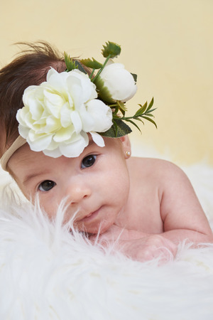 Newborm baby with flower on head portrait on yellow soft backgroundの写真素材