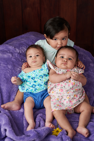 Portrait of small group babies on wooden studio backgroundの写真素材