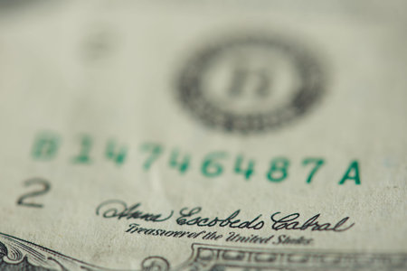 Signature of treasurer on dollar banknote macro close up view