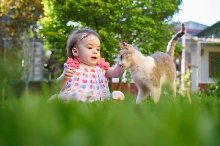 Baby girl touching cat on green grass backgroundの写真素材