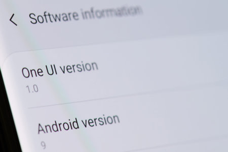 New york, USA - february 25, 2019: New software update for android on device screen pixelated close...